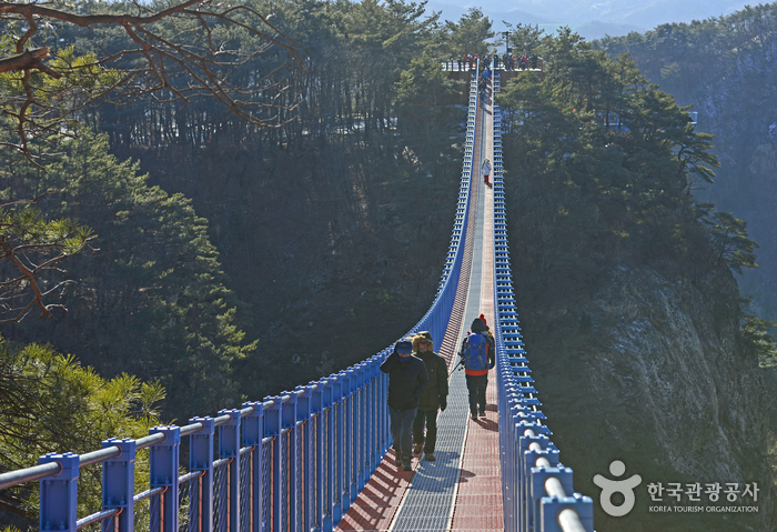 소금산 출렁다리의 지상고는 100m나 된다.