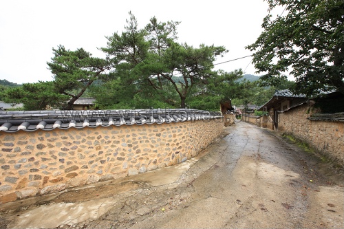 성주 한개마을 (돌담길)