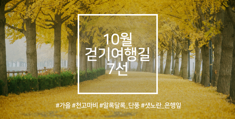 10월 걷기여행길 7선. 