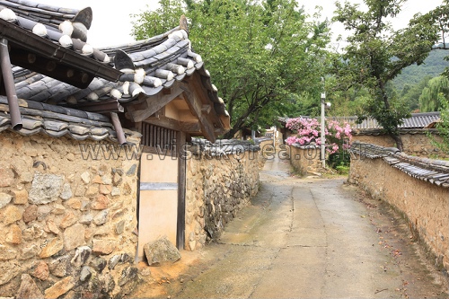 성주 한개마을 (돌담길)