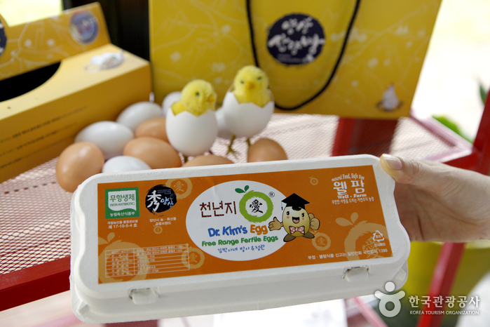 삽량빵 매장에서 친환경 유정란 구입도 가능하다.