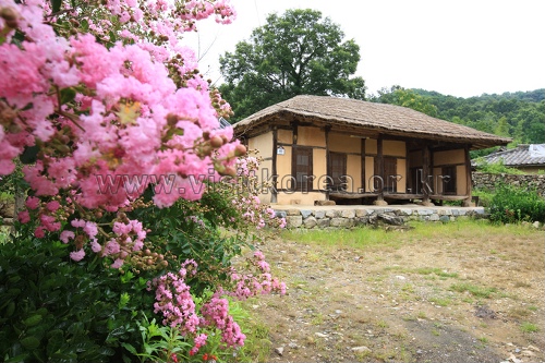 성주 한개마을 (돌담길)