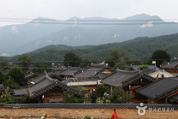 황산전통한옥마을 전경