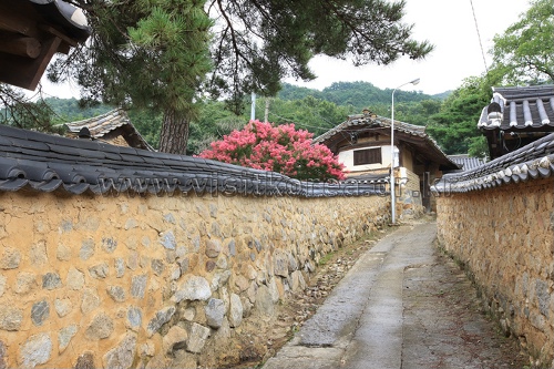 성주 한개마을 (돌담길)