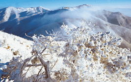 충북/경북 소백산