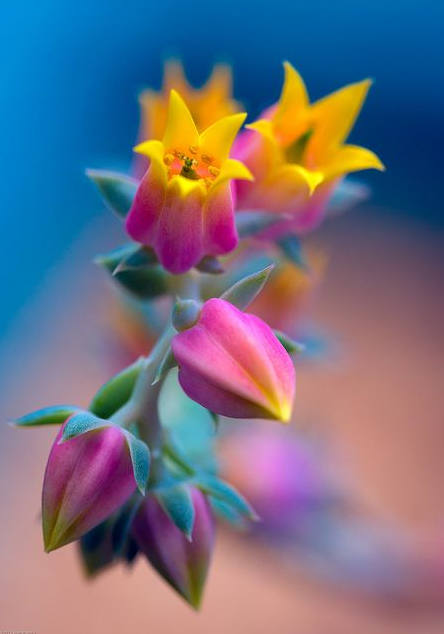 2015-06-23_195339