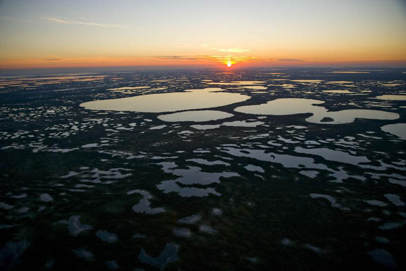 Humid area near Surgut, Siberia, Russia