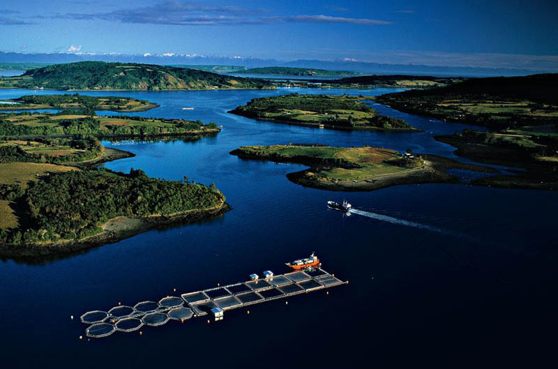Salmon farm near Mechuque in the Chauques Islands, Chile
