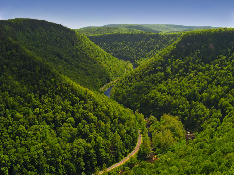 meandering-Pine-Creek-Gorge-Tioga-County-PA-USA