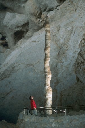 파일:Witchs Finger Carlsbad Caverns.jpg
