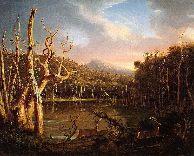 Image:Cole Thomas Lake with Dead Trees (Catskill) 1825.jpg