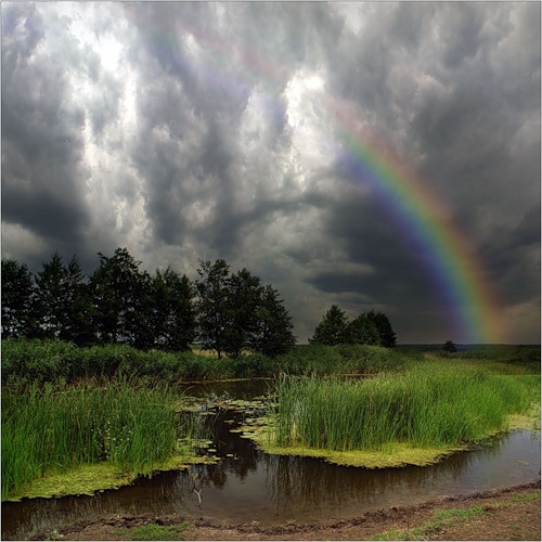 'After the summer rain' (2nd place)