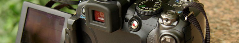 b3.jpg