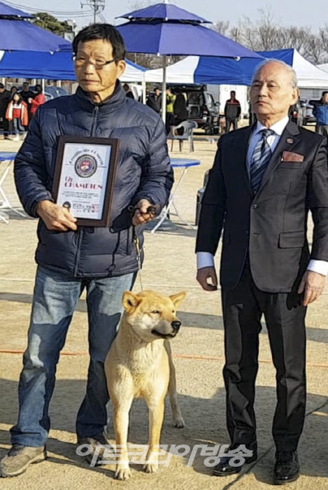 천연기념물 제53호 한국진도견협회 이철용 회장 인터뷰