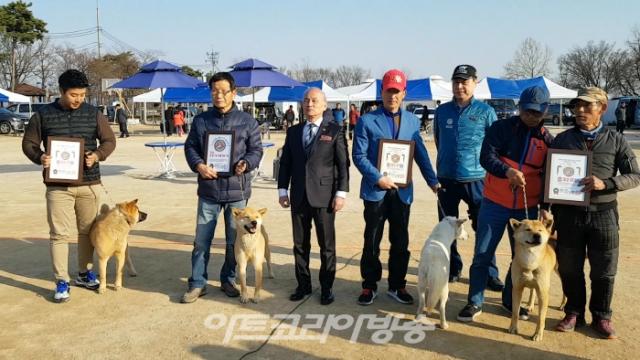 천연기념물 제53호 한국진도견협회 이철용 회장 인터뷰