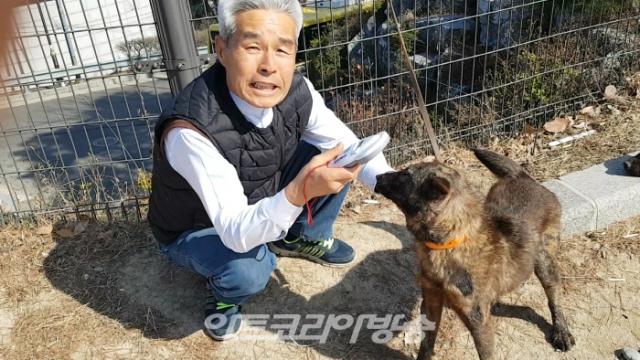 천연기념물 제53호 한국진도견협회 이철용 회장 인터뷰