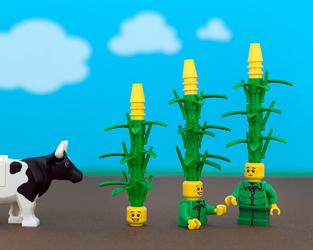 States Of LEGO States Of LEGO