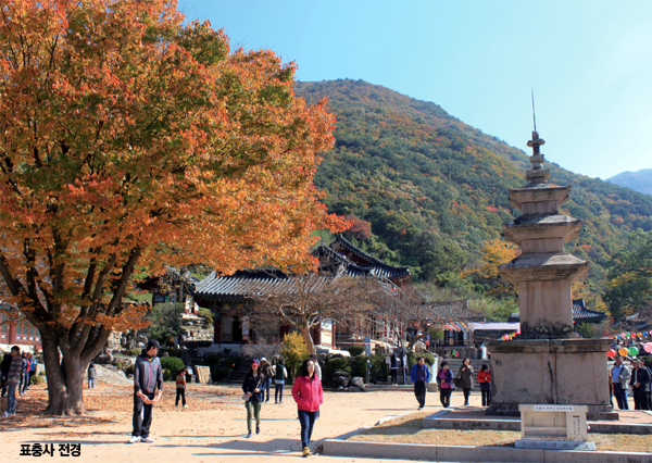표충사가는길에서 이미지