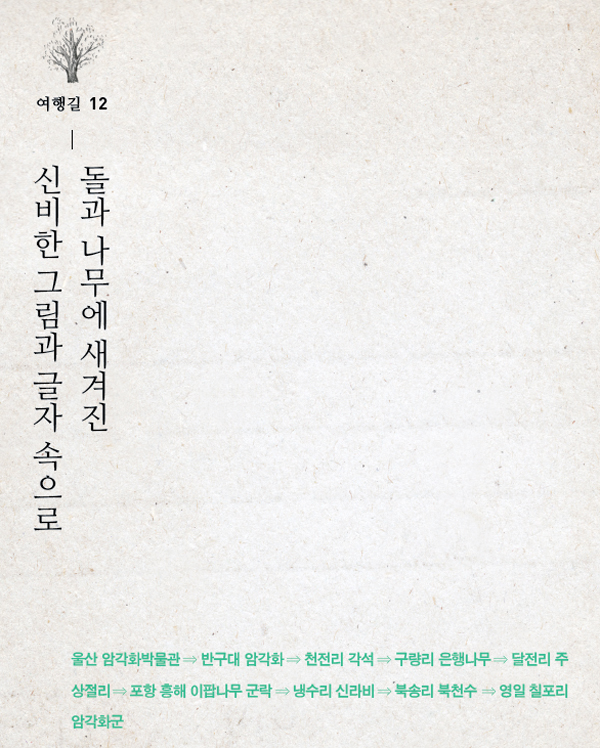 돌과나무 이미지