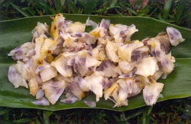 flesh of noni fruit