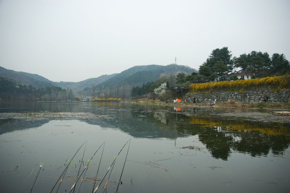 DSC08424.JPG