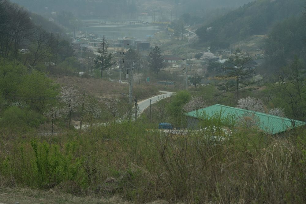 MSC0017.JPG