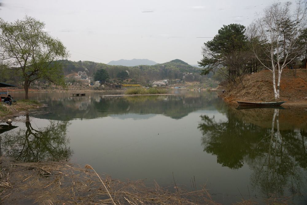 MSC0313.JPG