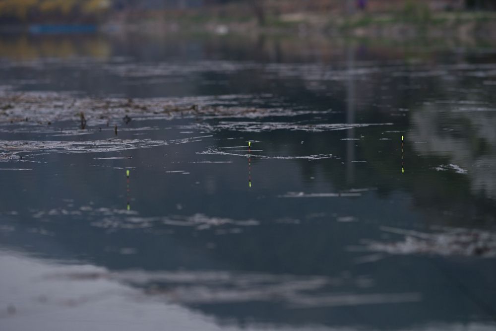 MSC0826.JPG
