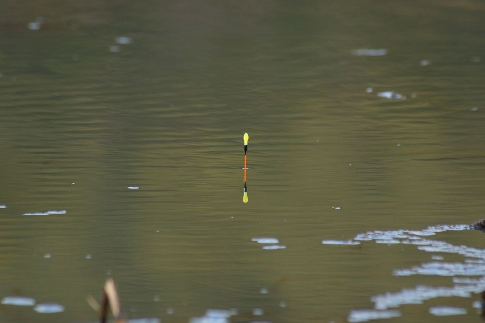 DSC04115.JPG
