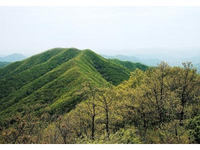 콩밭매는 아낙네야~ 충남 청양 칠갑산(5)