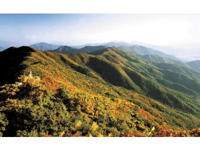 식물의 보고(寶庫)…전남 광양 백운산(18)