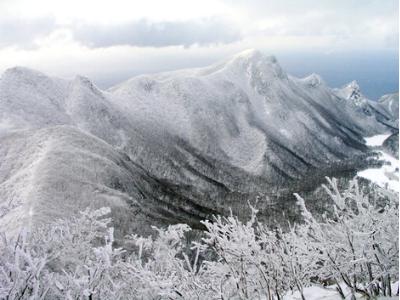 전설처럼 떠있는 바다 위 雪國…울릉도 성인봉(44)