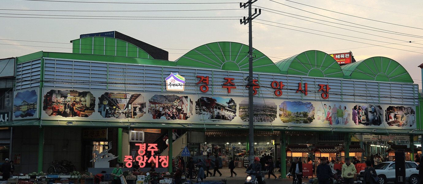 달빛테라피 이미지