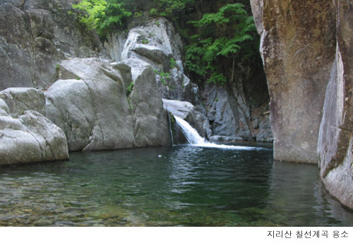 지리산오리유통 이미지