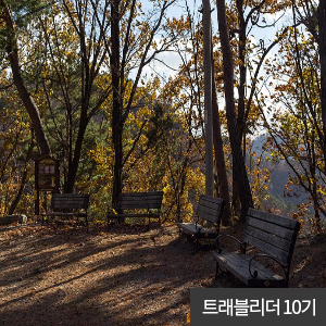 트래블리더 10기