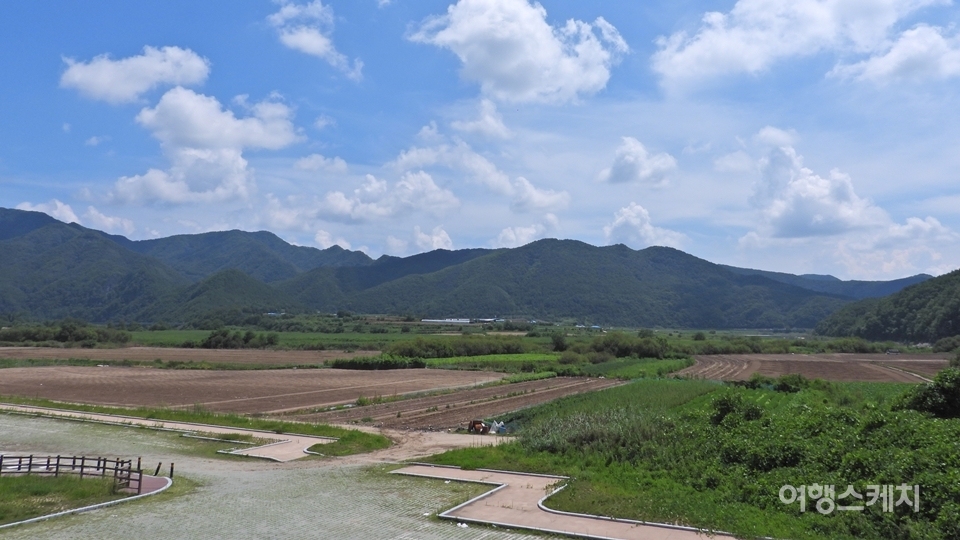 문학관 길 건너편 '광야'의 시상지 원촌들판의 모습. 육사는 이 곳에서 일제에 신음하는 민족의 현실과 대한독립을 이뤄낼 '초인'을 소망했다. 사진 / 황병우 기자