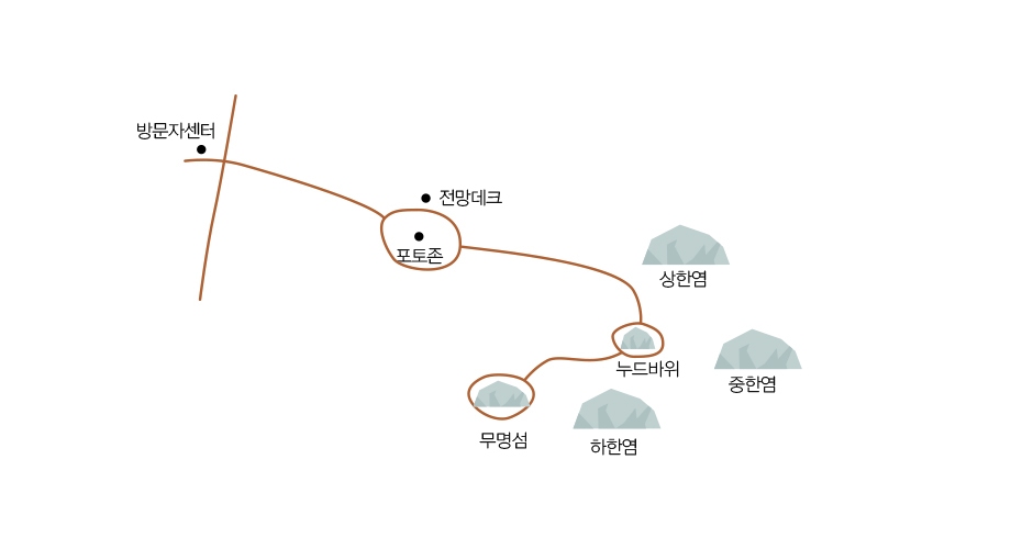 그래픽 / 김지애 디자이너