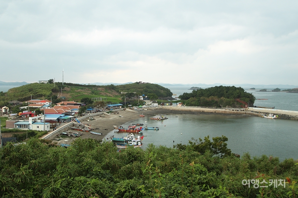 동바지 조망대에서 바라본 죽도 전경. 사진 / 조아영 기자