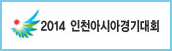 2014 인천아시아경기대회