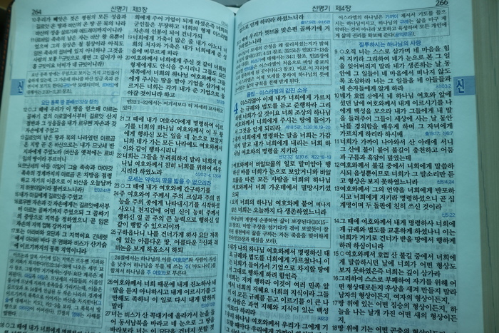 언약 이미지