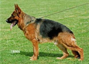 VA( I, A, H), V6 Yimmy van Contra