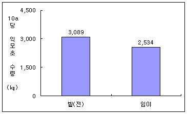 재배장소별 익모초의 10a당 수량