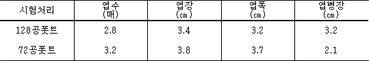 익모초 육묘용 트레이별 잎 성장 특성