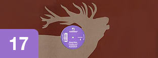 17. Gabriel Ananda - Doppelwhipper