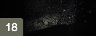18. Pantha du Prince - Walden