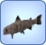 Mummyfish Mummyfish