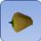Bell Pepper Bell Pepper