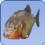 Piranha Piranha