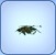Sea Sludge Sea Sludge