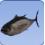 Tuna Tuna